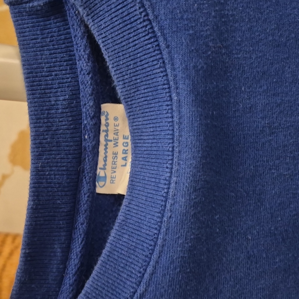 Champion blue sweater - as is